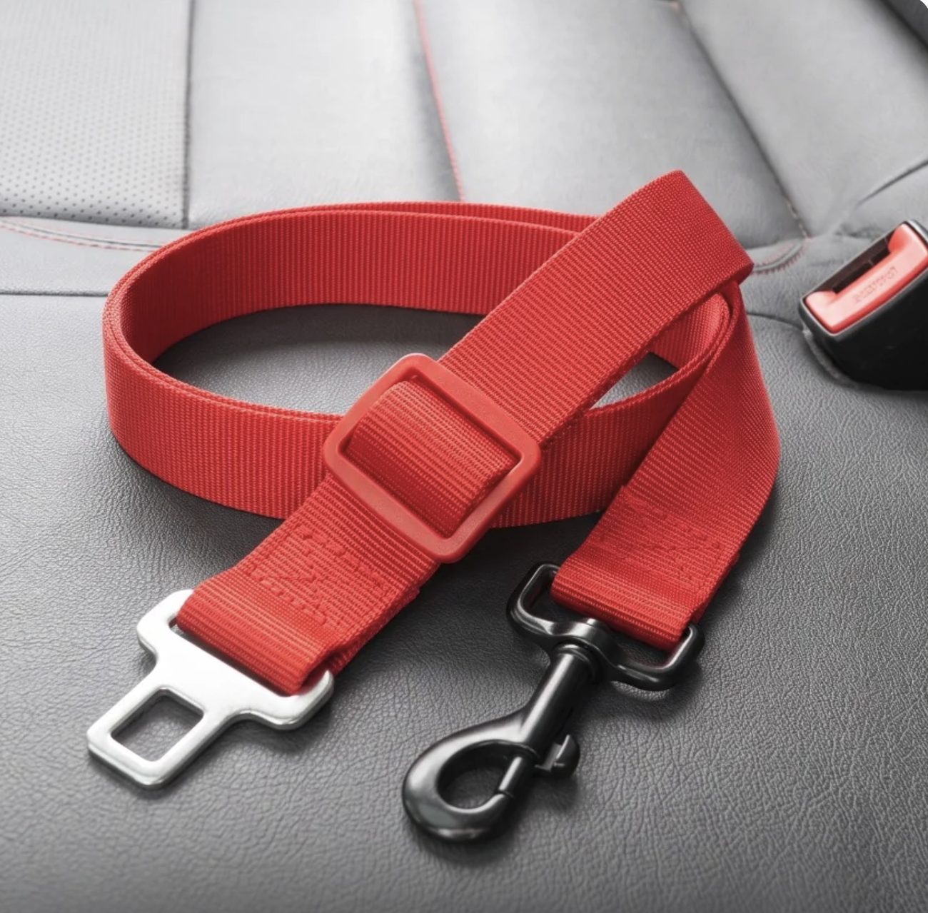 PawSecure en rojo